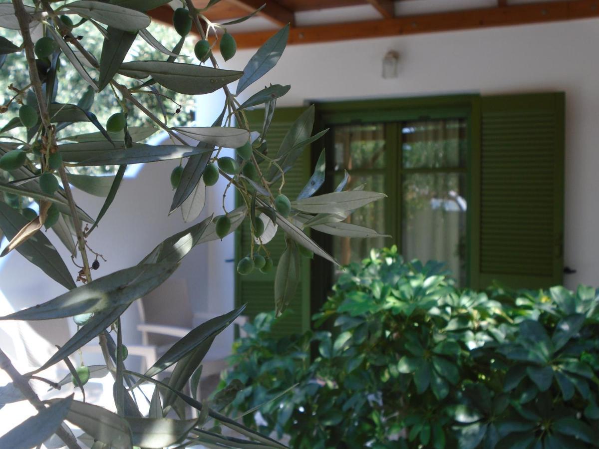Leros Eleonas Apartments Alinda  Exterior foto